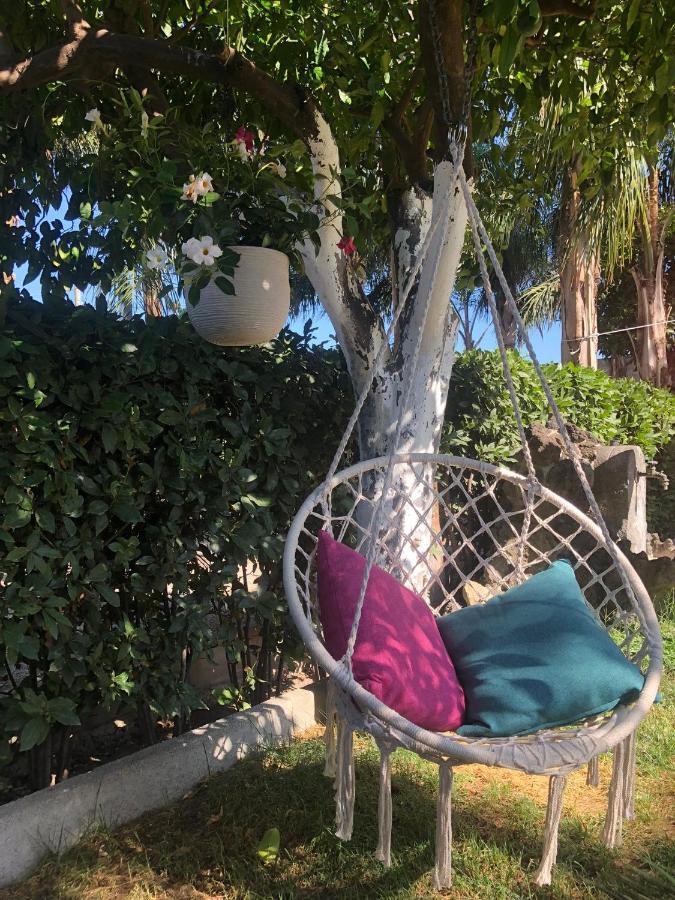 B&B Green Oasis Pompei Exteriér fotografie